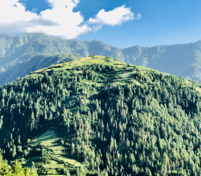 Mugu