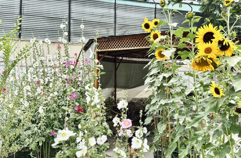 Protected: How Does Your Garden Grow?
